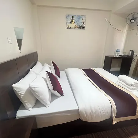 Hotel Down To Earth